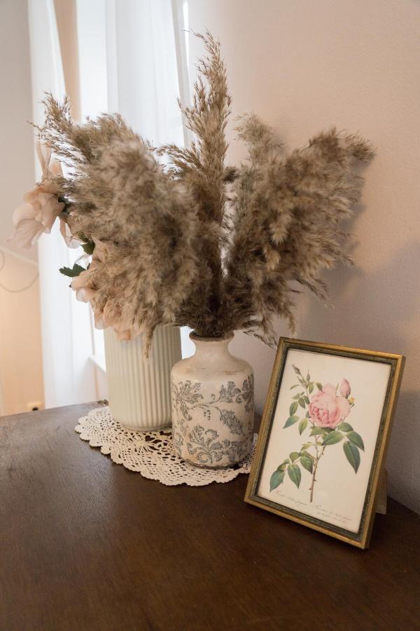 Urlaubsfreude Biedermann Haus Blumenglueck - Rose Apartment เซบนิทซ์ ภายนอก รูปภาพ